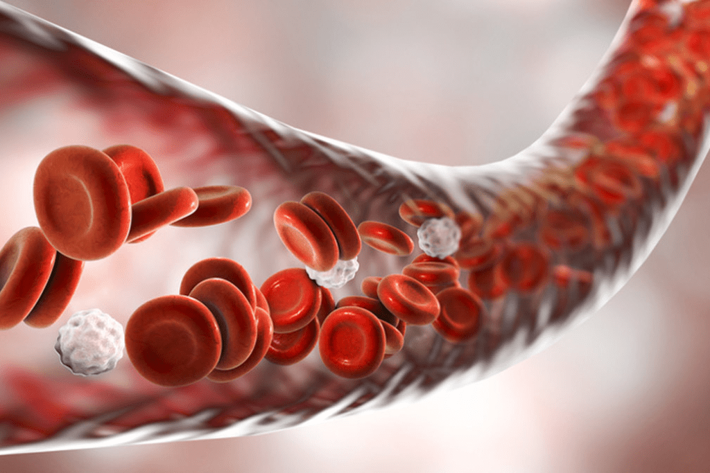 Improved Blood Flow Circulation