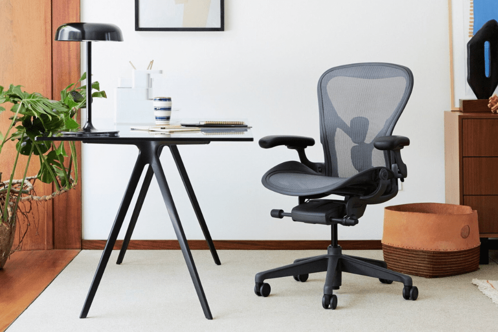 Ergonomic Chair and Desk