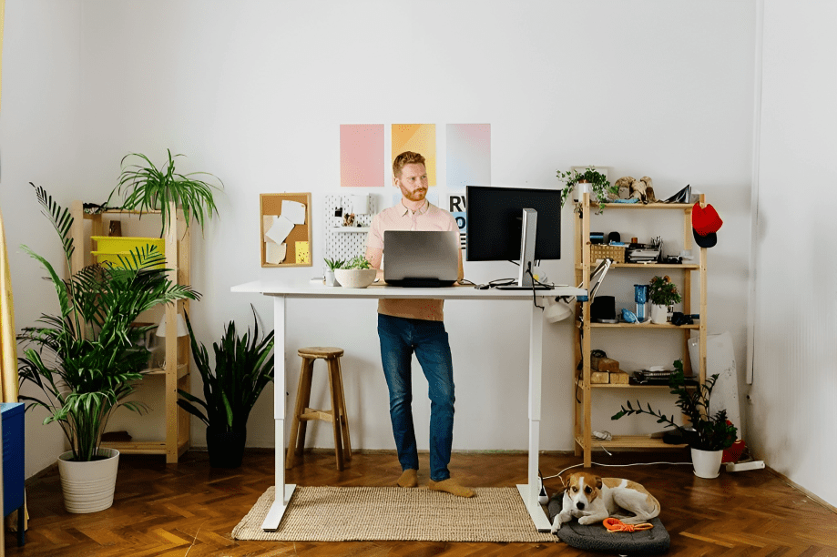 Standing Desk Layout